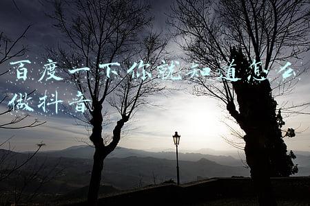 怎么把百度视频发到抖音(五大互联网平台激战84亿大项目，虎年红包大战释放哪些信号)