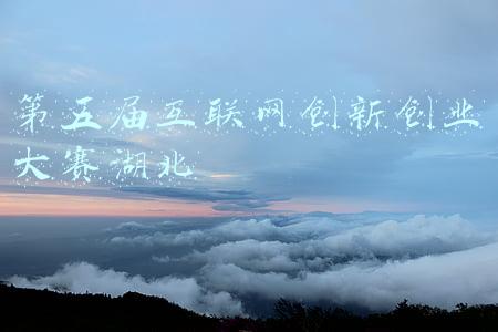 湖北省互联网 监管(喊你来投票！湖北省市场监管局卡通形象代言人征名网络投票开启)