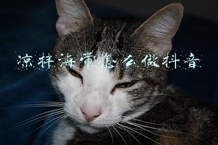凉拌海带怎么做好吃又简单(凉拌海带丝，大厨教你好吃不腥的做法，家常简单还营养)