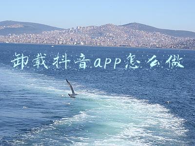 抖音app怎么卸载不掉(抖音清理内存怎么清理)