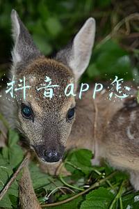 手机卸载app怎么找回(手机软件的卸载，很多人都操作错了，教你正确的方法释放大量内存)
