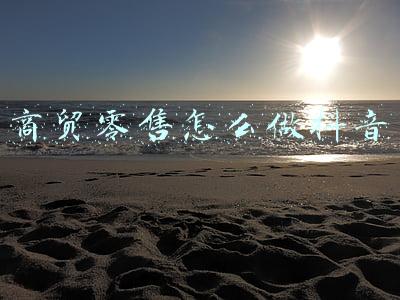 商贸零售(商贸零售行业2022年年度投资策略：聚焦高景气优质赛道，关注龙头竞争优势提升)