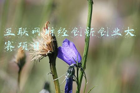 互联网 财经法务(中国公司欧洲新挑战：遭遇史上最严数据保护法)