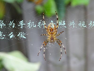 华为手机照片制作视频(新手必看！华为手机自带相机拍摄操作完全指南)