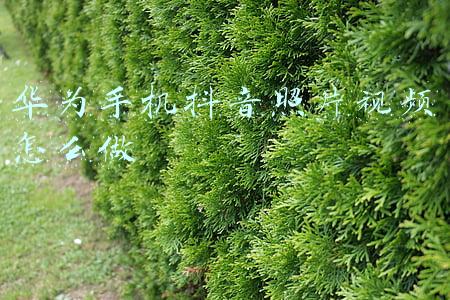 华为手机照片信息(华为手机丢了怎样找回通讯录和相册？很简单，只需这样操作)