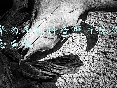 华为手机照片换底色(华为手机熄屏状态下，竟隐藏这5个实用功能，你还不知道吗)