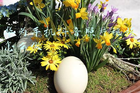 华为手机照片转文本(华为手机自带超实用功能！一键将录音转换成文字，赶快去试试吧)