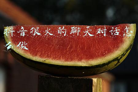 抖音很火的聊天对话怎么做