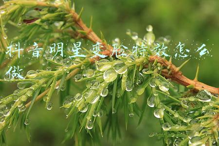 抖音换明星脸特效(刘昊然报警！AI换脸成黑产，“不限内容，所有明星都能换”)