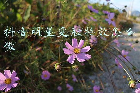 抖音明星变脸特效怎么做