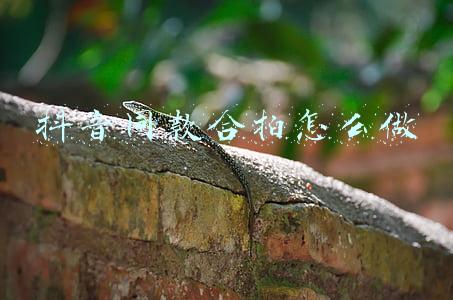 抖音合拍规则(抖音合拍教程通关，小哥哥秒变前男友｜抖音芝士库)