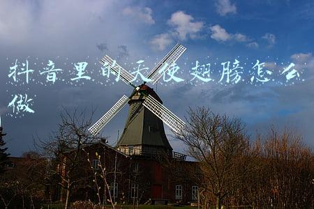 抖音里天使的翅膀道具(130万！文物！熊孩子又惹事)