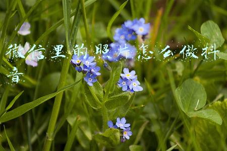 微信里的照片怎么删除(《微信》表情包删除方法)