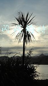 抖音亮闪闪的特效怎么做