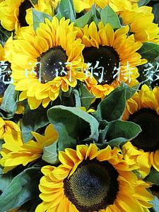 抖音亮闪闪的特效怎么做