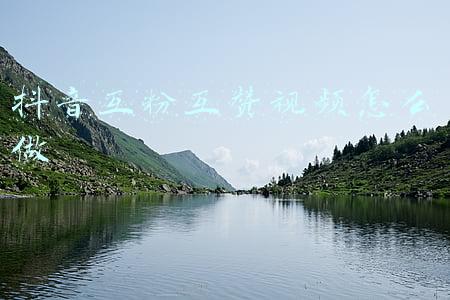 抖音互粉互赞群(「深度」疯狂的抖商培训：包教不包会，学费最高可达16万)