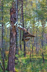 抖音怎么做英雄联盟视频