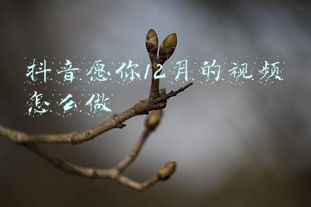 11月再见12月你好视频抖音(11月再见12月你好文案说说 2021十一月再见十二月你好唯美句子)