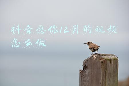 抖音愿你12月的视频怎么做
