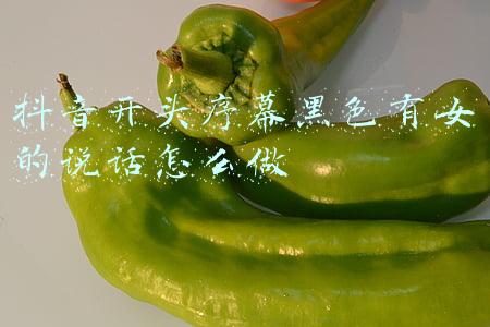 序幕(千里跃进大别山，揭开战略进攻序幕)