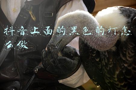 抖音视频紫色的灯怎么弄的(可爱又美味的“大脑斧”，网友：我已经忍不住喊我妈了)