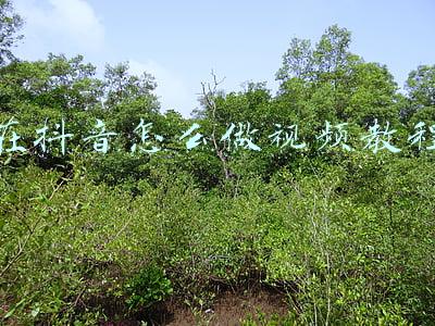 在抖音怎么做视频教程