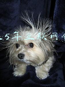 互联网的未来(互联网有未来，互联网人的未来在哪儿？)