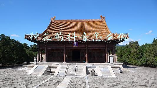 种花的抖音怎么做