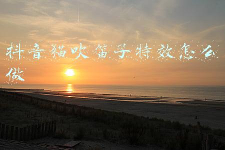 抖音猫吹笛子特效怎么做