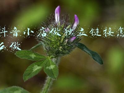 抖音小店链接怎么弄(抖音小店想上淘宝链接怎么弄？)