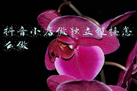 抖音小店链接怎么做(抖音小店无货源怎么做？详细教程分享！建议收藏)