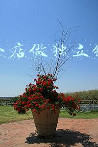抖音小店怎么上链接(双11前放大招！抖音群打开淘宝链接，互联的口子越撬越大)