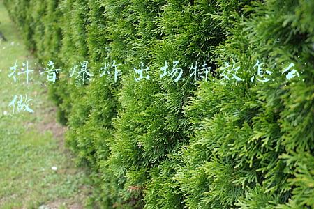 抖音爆炸出场特效怎么做