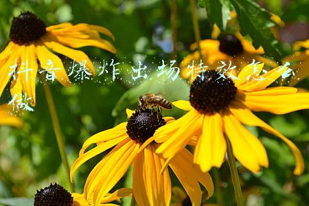 抖音爆炸出场特效怎么做