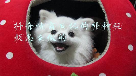 抖音情商日记的那种视频怎么做的