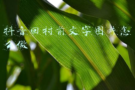抖音回村前文字图片怎么做