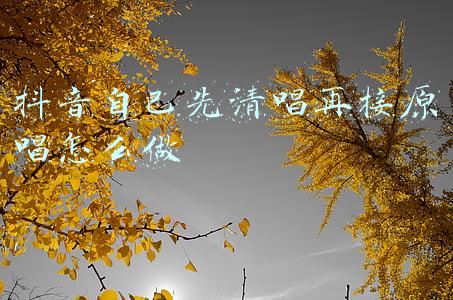 抖音自己先清唱再接原唱怎么做