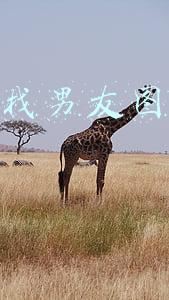女找男友过夜(17岁女儿说要和男朋友过夜，父亲的回答太棒了)