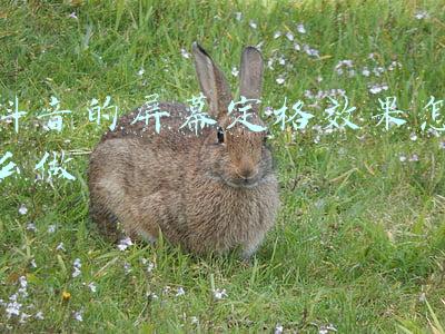 抖音的屏幕定格效果怎么做