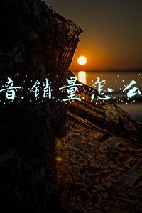 抖音销量怎么做