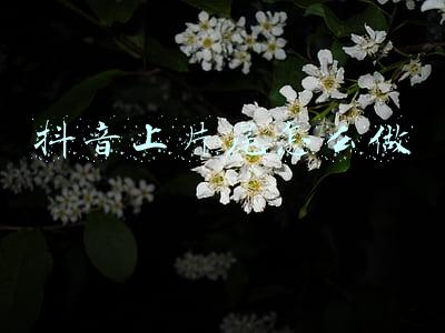 三生三世枕上书片尾曲(《误杀2》片尾曲竟然这样美？单依纯《萤火虫》，虽微光但大热)