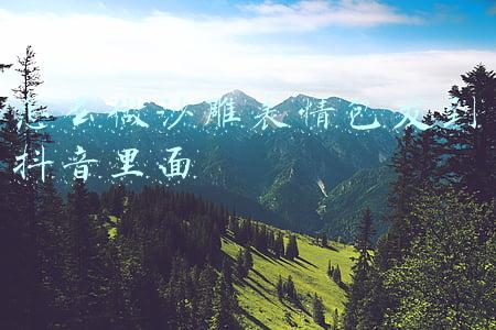 抖音沙雕狗头表情包图片(表情包｜沙雕熊猫头表情包)