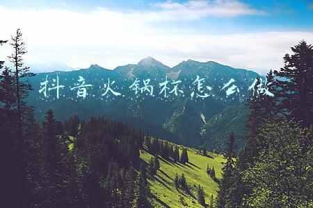 网红火锅杯怎么做(重庆美食第七站：李杰一家三口网红火锅杯)
