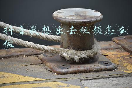 总想出去玩什么心理(心理学：你总是想玩手机的原因是什么？其实手机会让我们变笨)