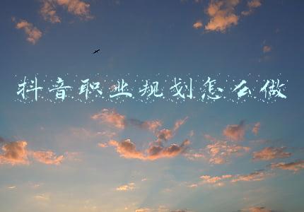 怎么做职业生涯规划(职业生涯规划宝典(内含培训PPT、工具表、职业测评))