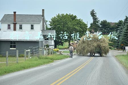 抖音上的对话框怎么弄(抖音“朋友圈”来了，微信气炸)