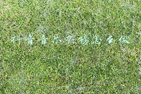 抖音音乐热榜怎么做