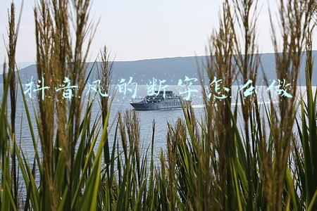 抖音风的断字怎么做