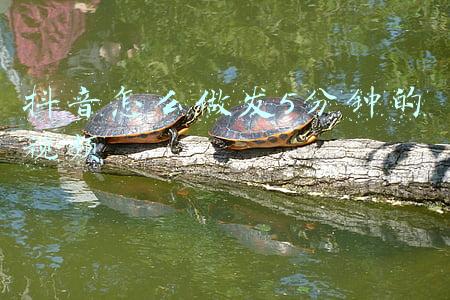 微视怎么发5分钟视频(微信终于取消限制，朋友圈能发超长视频啦)