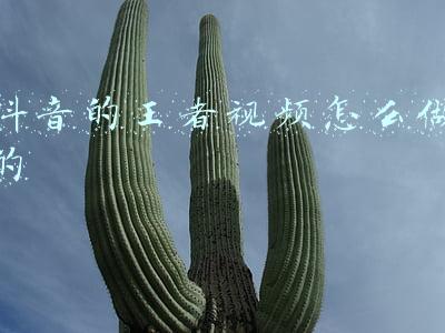 抖音的王者视频怎么做的